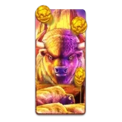Buffalo
King